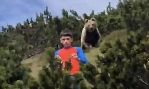 【视频】恐怖！外出的12岁男孩身后惊现一头巨熊！他靠这招捡回一条命！