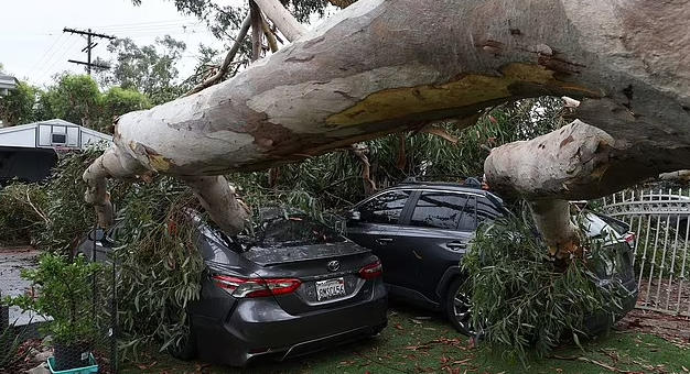 热带风暴过境，911中断，加州棕榈泉小镇完全被切断！